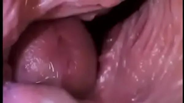 Big Dick Inside a Vagina my Videos