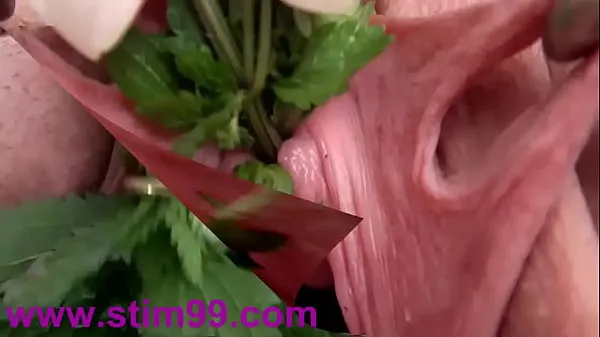 Store Nettles in Peehole Urethral Insertion Nettles & Fisting Cuntmine videoer